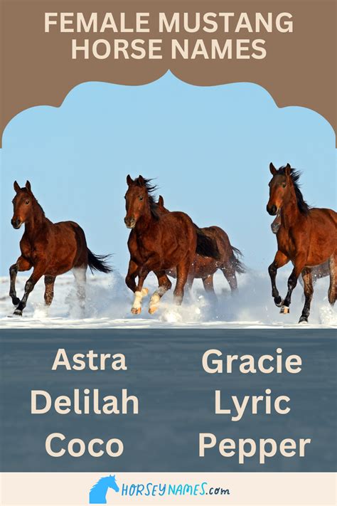 female mustang horse names